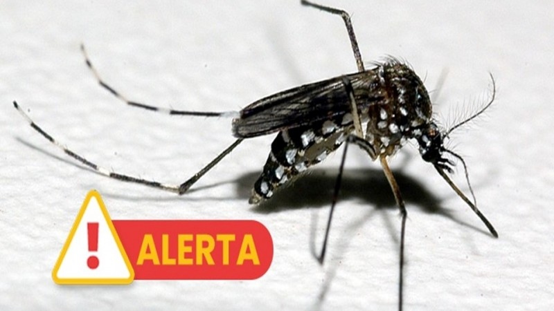 Ir para  <p>O Centro Estadual de Vigil&acirc;ncia em Sa&uacute;de (CEVS), vinculado &agrave; Secretaria da Sa&uacute;de (SES), confirmou nesta sexta-feira (4/4) o terceiro &oacute;bito por dengue no Rio Grande do Sul. Ocorrido em...