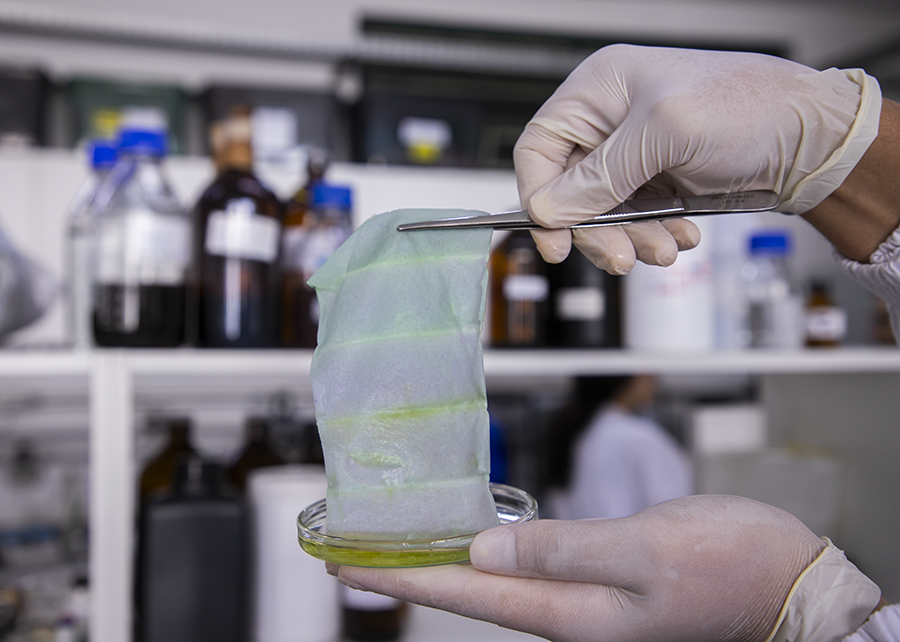 Ir para  <p>Uma nova tecnologia desenvolvida por cientistas brasileiros promete revolucionar a forma como identificamos alimentos impr&oacute;prios para consumo: uma embalagem que muda de cor conforme o alimento se deteriora. O sistema, que...