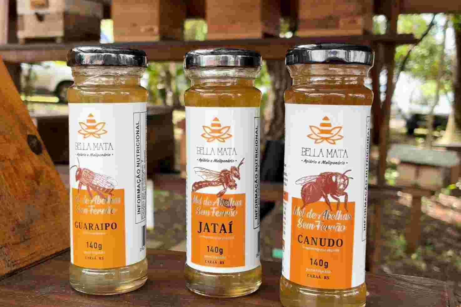 Primeiro mel de abelha sem ferrão com registro federal abre novos mercados para a meliponicultura gaúcha