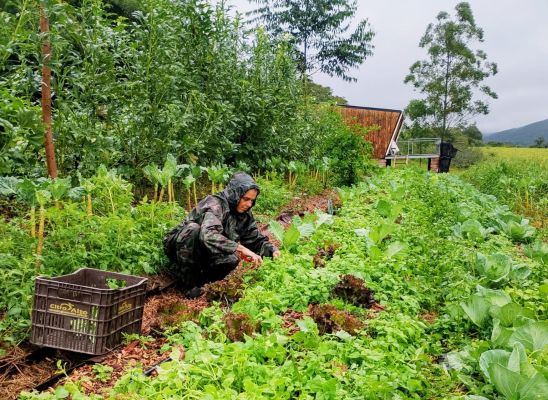 Dia Internacional das Mulheres Rurais: protagonismo feminino transforma a realidade no campo