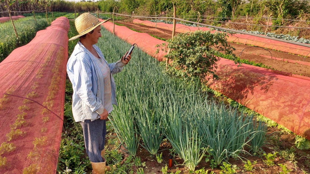 Ir para  <p><big>Segundo a Organiza&ccedil;&atilde;o das Na&ccedil;&otilde;es Unidas para Agricultura e Alimenta&ccedil;&atilde;o (FAO), as atividades da agricultura e da agropecu&aacute;ria s&atilde;o...