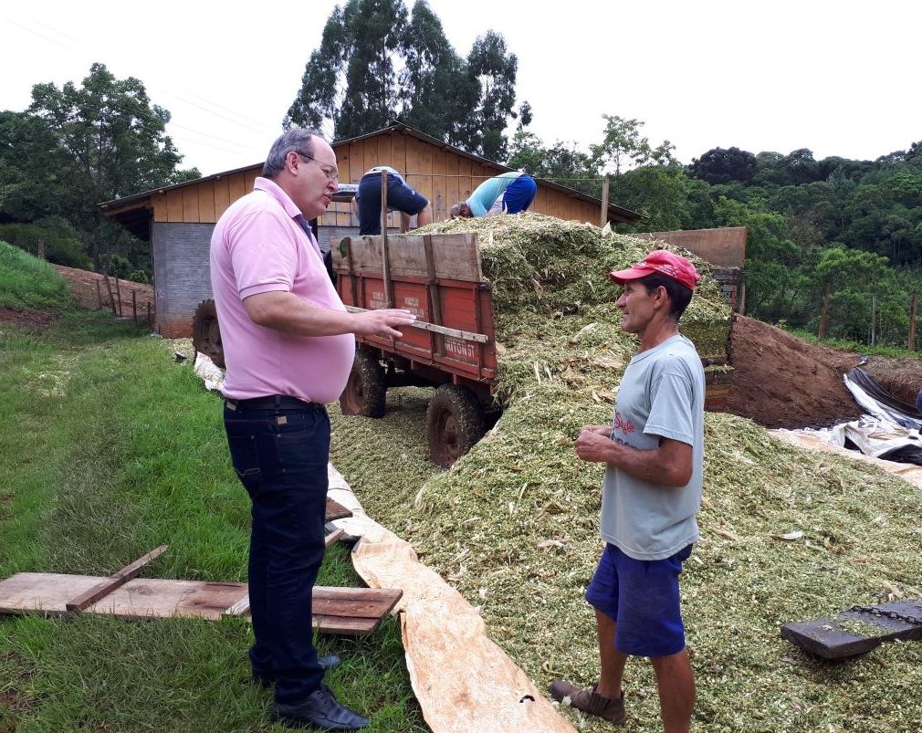 Ir para  <p>&nbsp;</p>

<p><big>A agricultura de Gaurama &eacute; de extrema import&acirc;ncia para o desenvolvimento econ&ocirc;mico do munic&iacute;pio. Nesta &eacute;poca esta acontecendo os trabalhos...