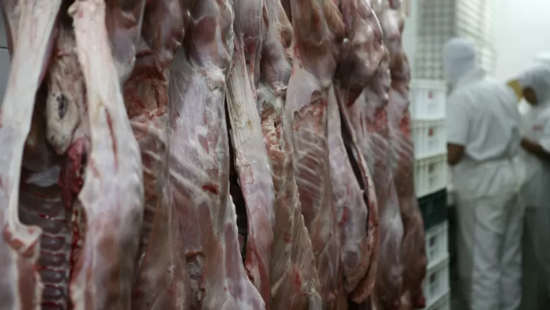 Ir para  <p>As exporta&ccedil;&otilde;es de carne bovina e su&iacute;na in natura aumentaram em fevereiro, tanto em rela&ccedil;&atilde;o a janeiro 2019 quanto ante fevereiro do ano passado. No caso da carne de frango, os...