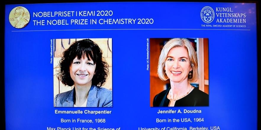 Ir para  <p>Duas geneticistas, a francesa Emmanuelle Charpentier e a americana Jennifer Doudna, s&atilde;o as vencedoras do Pr&ecirc;mio Nobel de Qu&iacute;mica em 2020 por suas pesquisas sobre as &quot;tesouras...