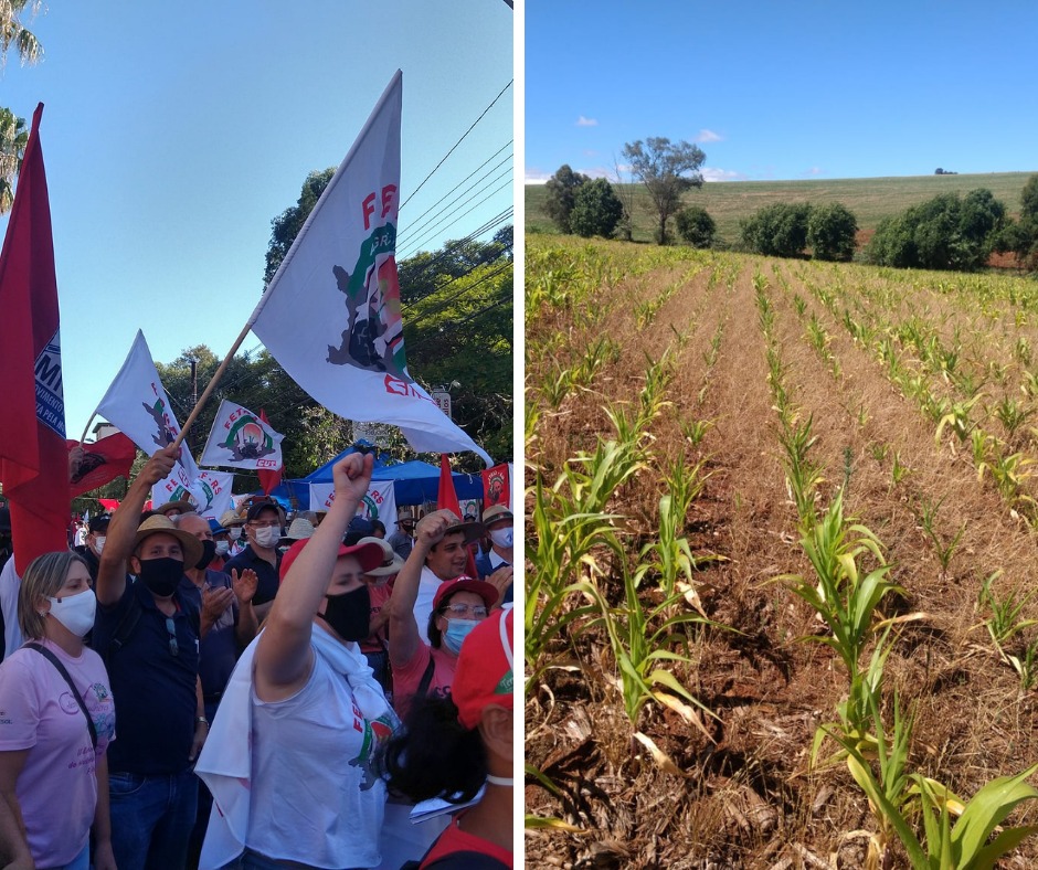 Ir para  <p><big><span dir="auto">No dia 01/04, o governo federal divulgou um decreto regulamentando a concess&atilde;o de rebate nas opera&ccedil;&otilde;es de cr&eacute;dito rural. Tem direito a rebate de...