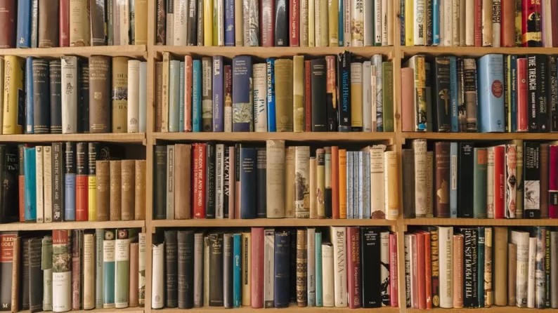 Ir para  <p><big>Em 2015, a base de dados contava 6.057 bibliotecas p&uacute;blicas no Brasil, n&uacute;mero que caiu para 5.293 em 2020, dado mais recente dispon&iacute;vel no site do...