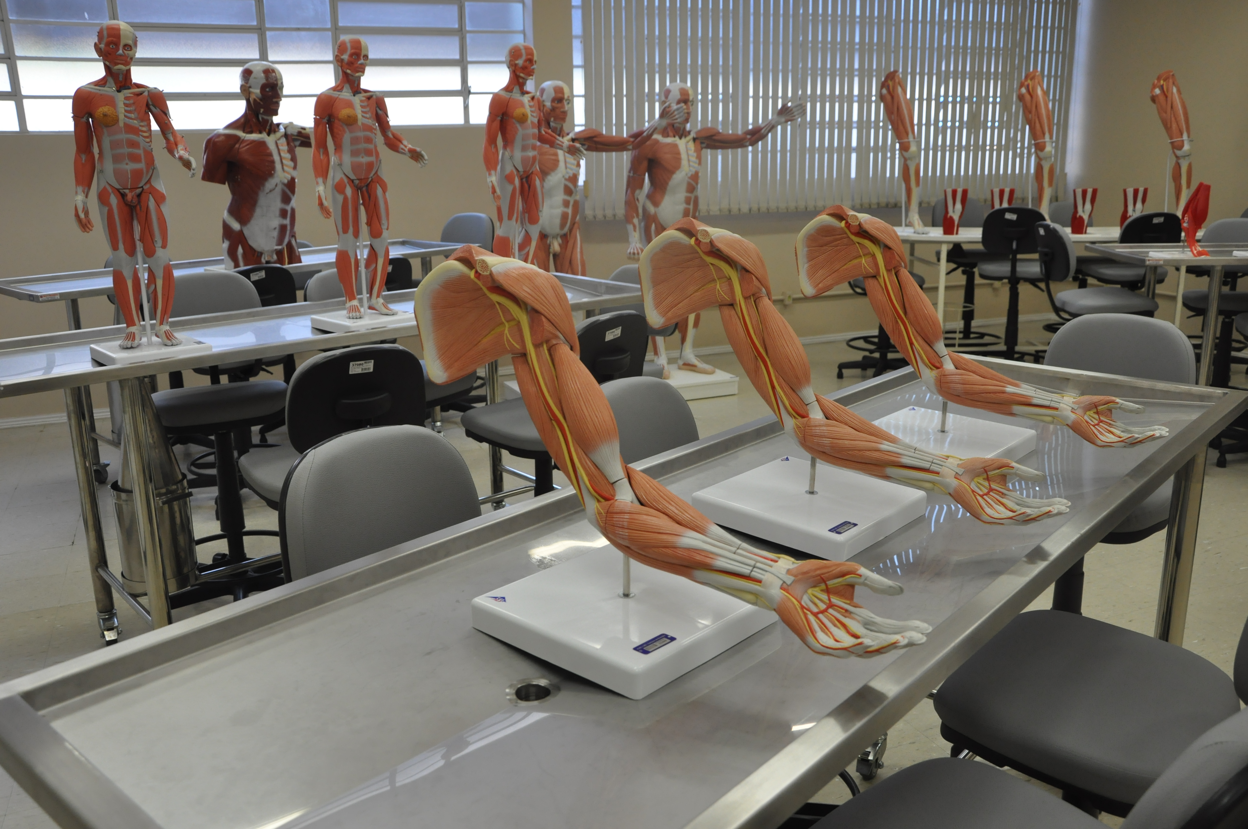 Ir para  <p><big>Abertas nesta ter&ccedil;a-feira, 26, as inscri&ccedil;&otilde;es para preenchimento de vagas para o Curso de Medicina da URI Erechim, por meio de transfer&ecirc;ncia externa. Os candidatos devem fazer a...