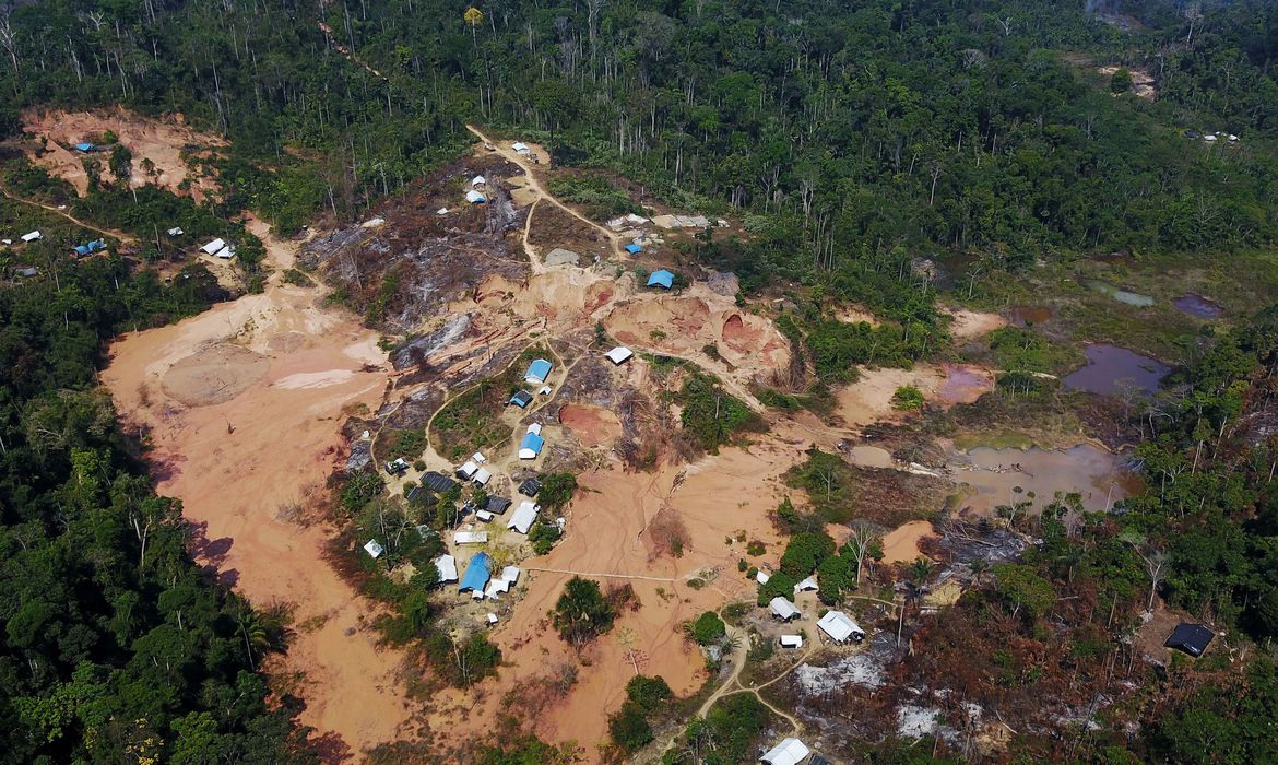 Ir para  <p>Nas &uacute;ltimas semanas, as fortes imagens de ind&iacute;genas yanomami desnutridos e de grandes &aacute;reas de florestas devastadas pelo garimpo suscitaram a pergunta: para onde vai o ouro retirado das terras...