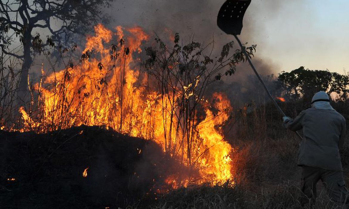 Ir para  <p>No primeiro bimestre deste ano, o bioma Amaz&ocirc;nia concentrou 90% das &aacute;reas com queimadas. Ao todo, o per&iacute;metro atingido pelas chamas foi de 487 mil hectares, de acordo com informe de hoje (13), do Monitor...