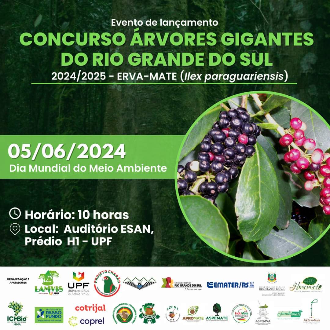 Ir para  <p><big>Um concurso de abrang&ecirc;ncia estadual possibilitar&aacute; conhecer a maior &aacute;rvore s&iacute;mbolo do Rio Grande do Sul, a erva-mate (<em>Ilex paraguariensis</em>). Trata-se do Concurso...